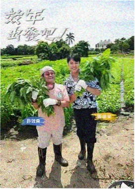 大师兄影视官网旅行综艺《漫游吧少年》封面